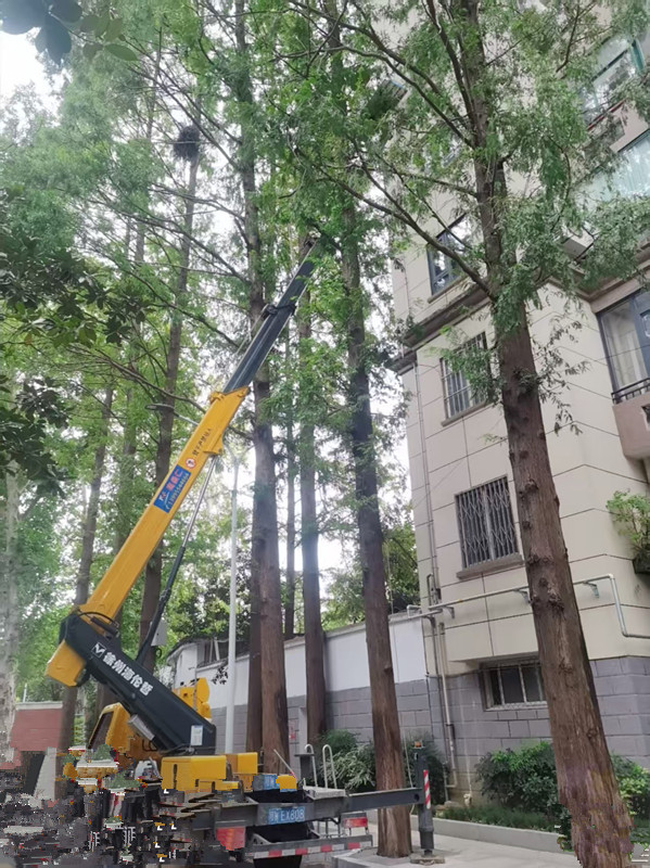 微信图片_20250919141243_117_14.jpg